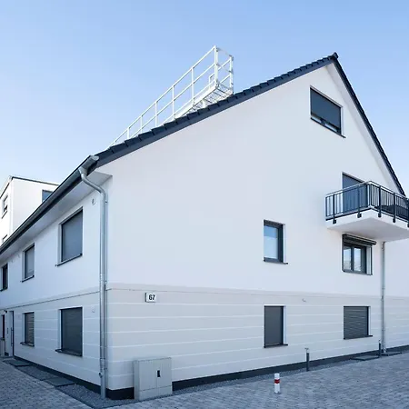 Pier 67 Kleine Muschel Roge